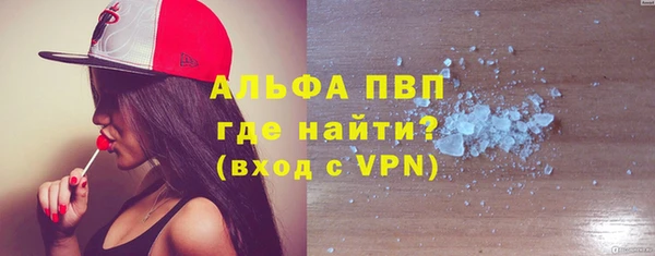 хмурый Абаза