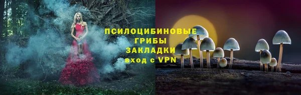 PSILOCYBIN Абдулино