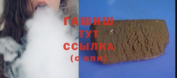 хмурый Абаза