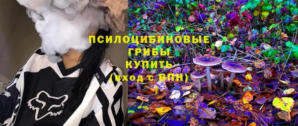 хмурый Абаза