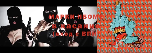 гашик Губаха