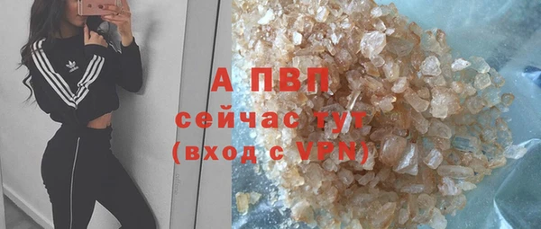 хмурый Абаза