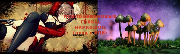 PSILOCYBIN Грязовец