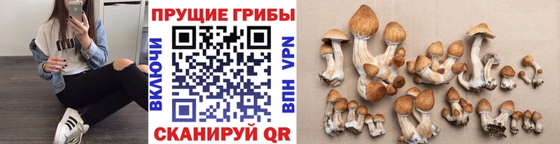 Псилоцибиновые грибы мухоморы  hydra tor  Сертолово 