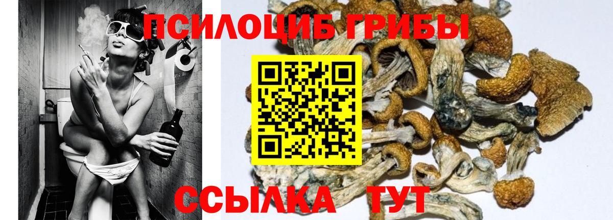 Псилоцибиновые грибы Magic Shrooms  Галлюциногенные грибы GOLDEN TEACHER  Вход с VPN  Сертолово 