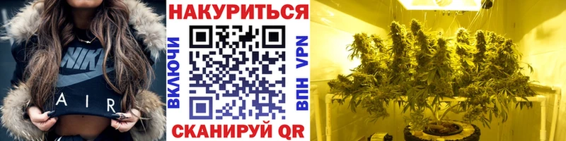 цены   Сертолово  Каннабис SATIVA & INDICA 